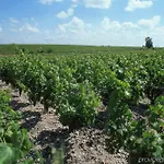 Hotel Ibis Styles Bordeaux Sud 3*